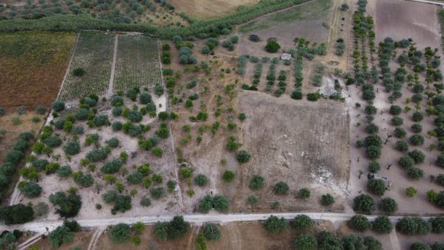 Terreno Agricolo - Noto . Rif.: Cod. rif 3321426VCG - Foto 9