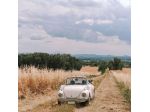VOLKSWAGEN Maggiolino 1303
