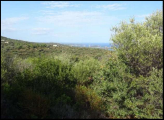 Immobile in asta di 2270 m² in vendita a Olbia - Foto 5