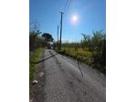 Agricolo in Via Telesi
