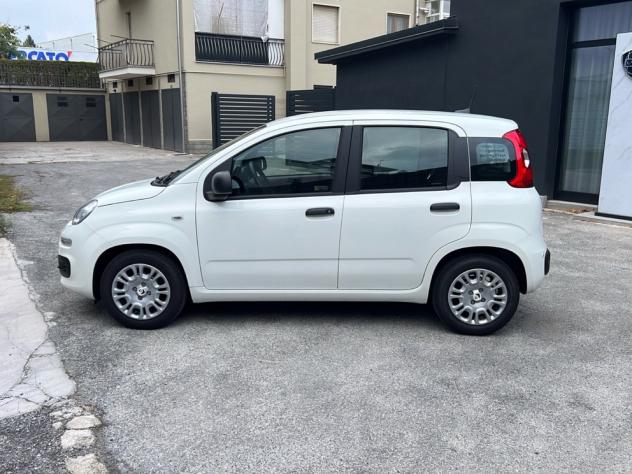 FIAT Pandina 1.0 65cv Hybrid ICON - Foto 8