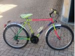 Monte-bike uomo