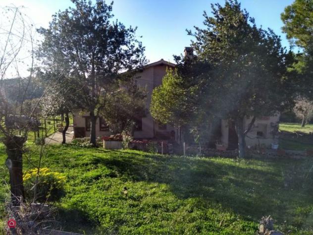 Rustico/Casale di 250mq in maglianese sp54 a Calvi dell'Umbria - Foto 10
