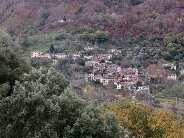 Podargoni R.C. Casa indipendente del 1885,con autorimesssa e terreno vicini. - Foto 4