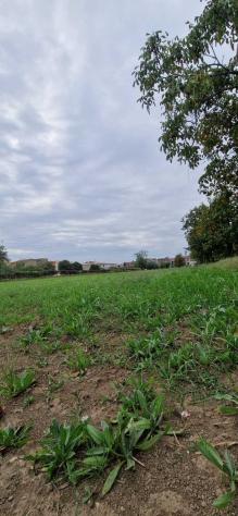 Edificabile in campolongo - Foto 5