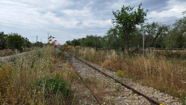 Terreno in vendita a Noto, San Lorenzo - Foto 11