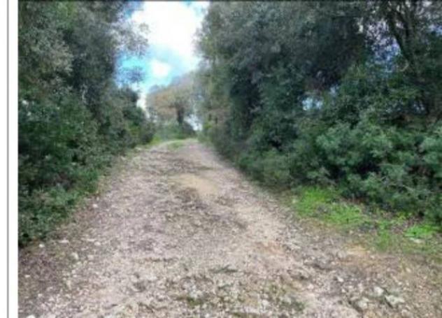 Immobile in asta di 23081 m² in vendita a Osilo - Foto 3