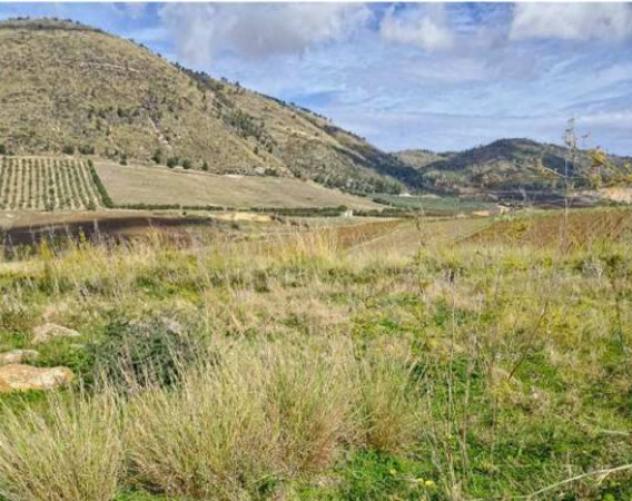 Immobile in asta di 155290 m² in vendita a Salemi - Foto 8