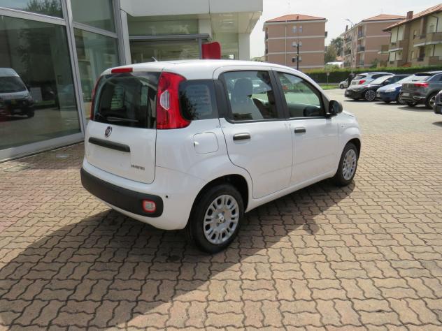 FIAT Pandina 1.0 FireFly 65cv S&S 6m Hybrid Pop - Foto 4