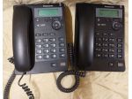 Telefoni fissi Panasonic modello KX-TS600EX.