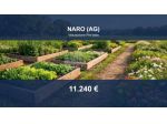 Immobile in asta di 14880 m² in vendita a Naro