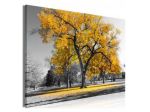 Quadro Alberi Gialli 90x60 E 120x80 ARREDALACASA