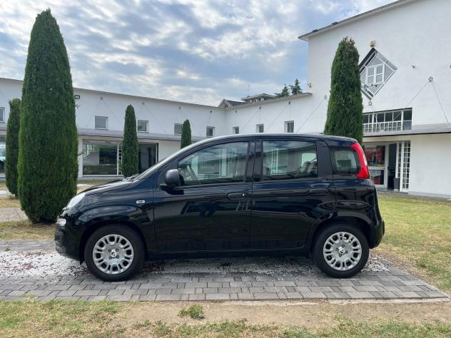 FIAT Panda 1.0 FireFly 70cv S&S Hybrid 5 posti - Foto 4