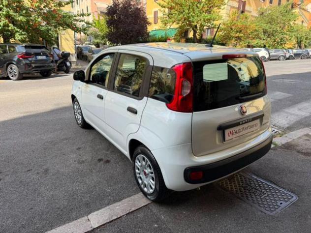 FIAT Panda 1.0 FireFly S&S Hybrid Easy-Nuovissima rif. 24046497 - Foto 8