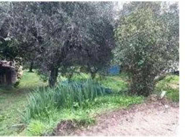 Immobile in asta di 134 m² con più di 5 locali in vendita a Corridonia - Foto 8