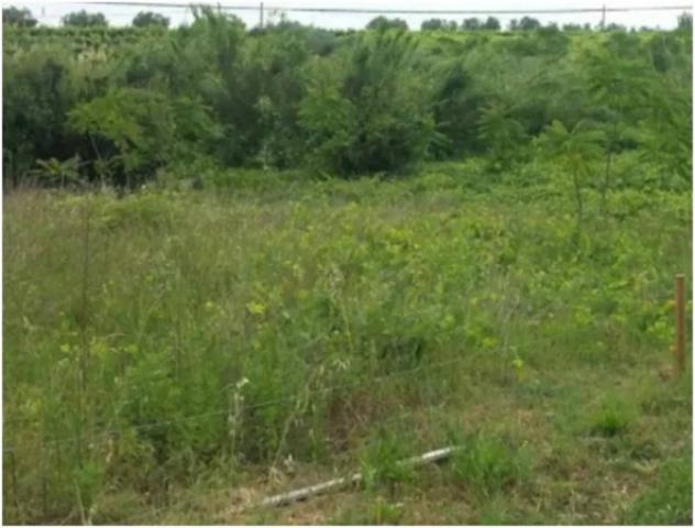 Immobile in asta di 1131 m² in vendita a Miglianico - Foto 2