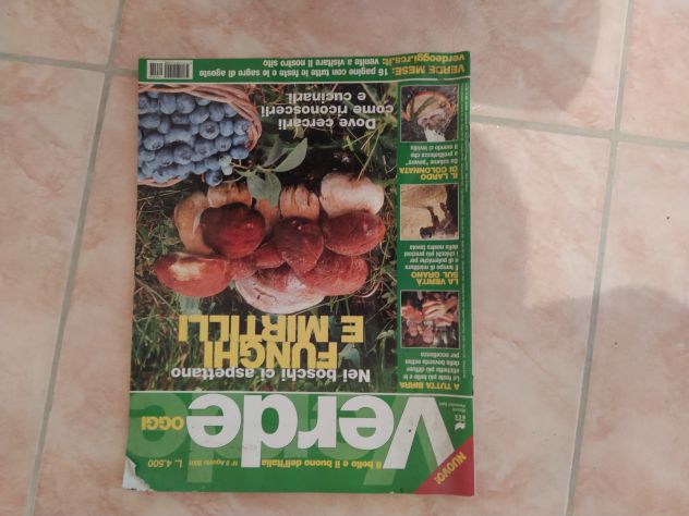 RIVISTA/RICETTARIO -VERDE OGGI