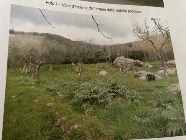 Terreno agricolo in vendita a Castelmaggiore - Calci 1500 mq Rif: 1205664 - Foto 4