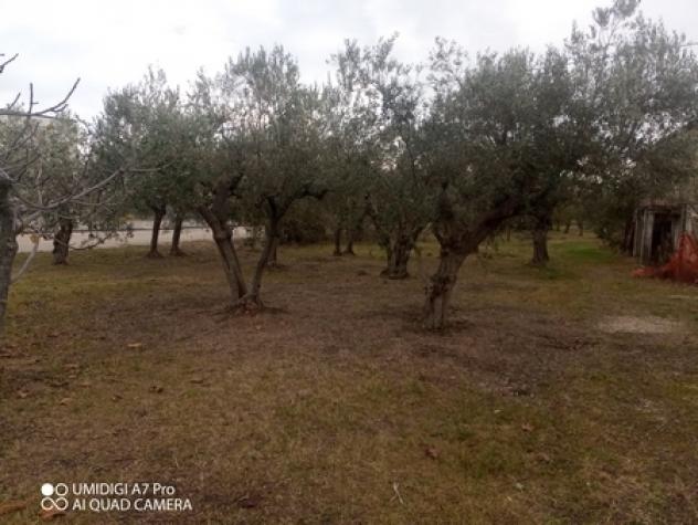 Rustico in vendita a Fossacesia - Foto 4