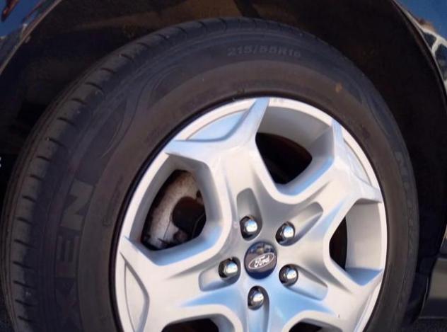 FORD Focus 1.5 TDCi 120 CV Start&Stop SW Plus rif. 23887493 - Foto 7