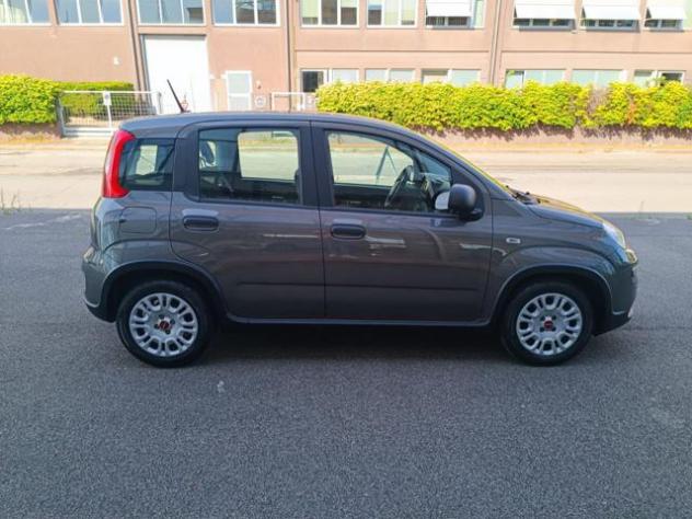 FIAT Panda 1.0 FireFly S&S Hybrid rif. 23911198 - Foto 3
