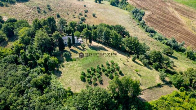 PRELATO: Un gioiello a fano, zona prelato: villa con anima e lusso contemporaneo.
in località prelato di fano, in una delle zone collinari più esclusi - Foto 4