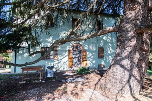 Casa Indipendente con Terreno Agricolo! - Foto 4