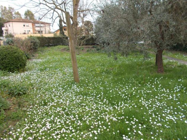 Villa in vendita a Avane - Vecchiano 160 mq Rif: 1249109 - Foto 6