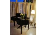 Organista/pianista per funerali, matrimoni, eventi, concerti