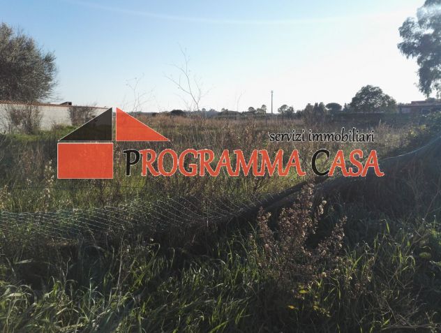 ARDEA NUOVA FLORIDA TERRENO EDIFICABILE 1000mq 0.5 - Foto 2