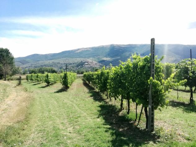 Terreno in vendita in strada montefalco, 25, Montefalco - Foto 2