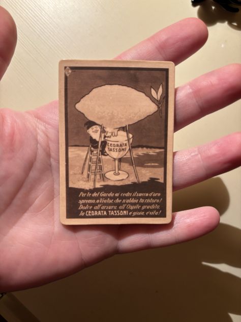 CALAMITA/MAGNETE NUOVA QUASI INTROVABILE DA COLLEZIONE ORIGINALE CEDRATA TASSONI - Foto 10