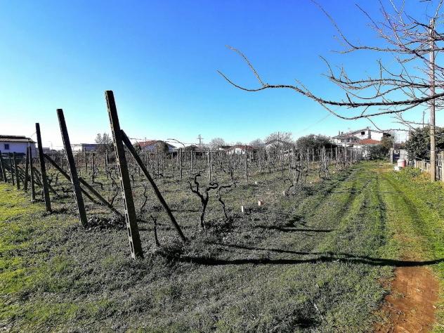 Terreno agricolo in vendita a Alteta - Massa 1600 mq Rif: 1026924