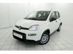 FIAT Panda 1.0 FireFly S&S Hybrid Pandina