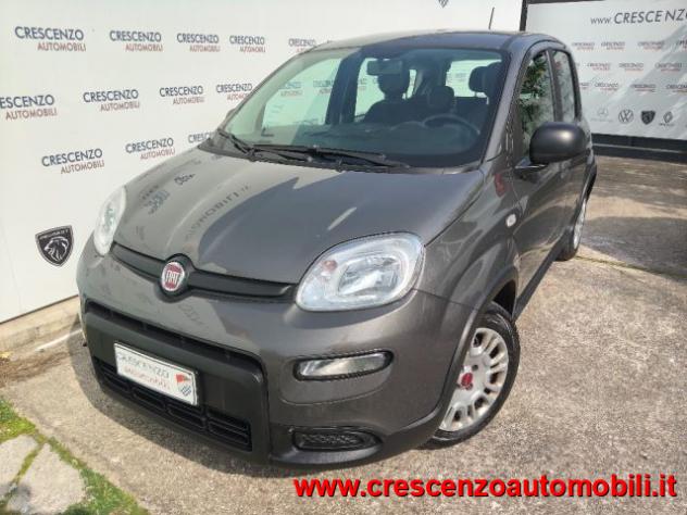 FIAT Panda 1.0 FireFly S&S Hybrid City Life - AZIENDALE rif. 23795806 - Foto 3