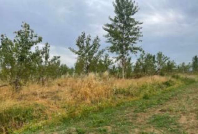 Immobile in asta di 73 m² in vendita a Portogruaro - Foto 5