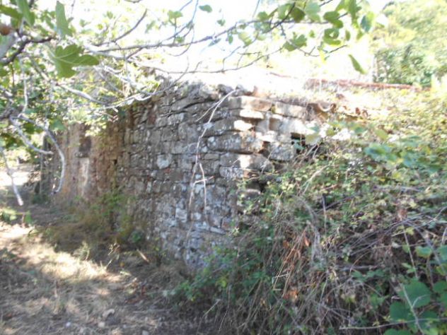 Perdifumo, Terreno Di 18.000 Mq Vista Mare Con Un Rudere - Foto 8