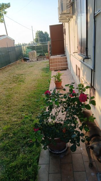 Vendesi villa bifamiliare a Corcagnano - Foto 7