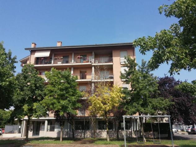 Bilocale in affitto a Moncalieri - Foto 13