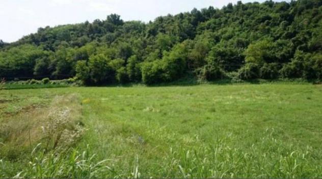 Immobile in asta di 11729 m² in vendita a Sovizzo - Foto 5