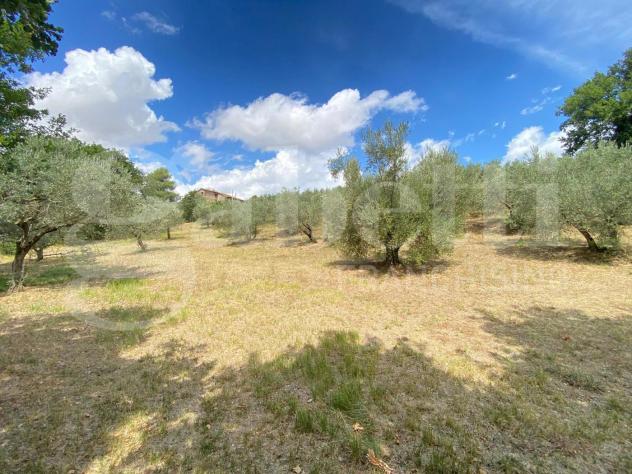 Casa Indipendente - Assisi . Rif.: 2025/002 AVRG - Foto 5