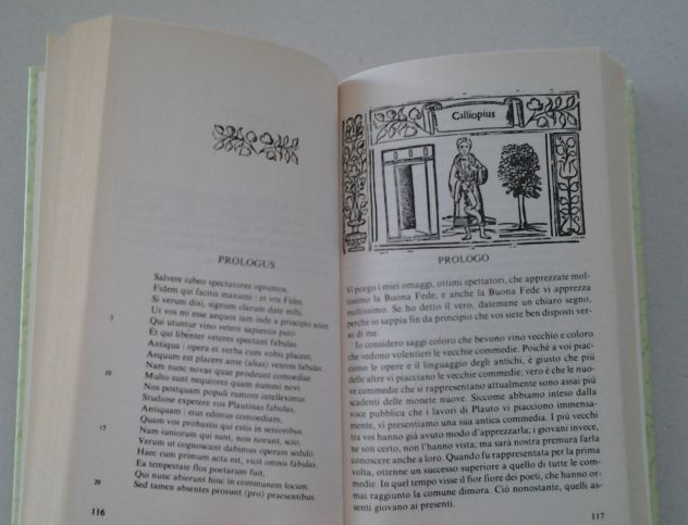 PLAUTO - Casina - Foto 8