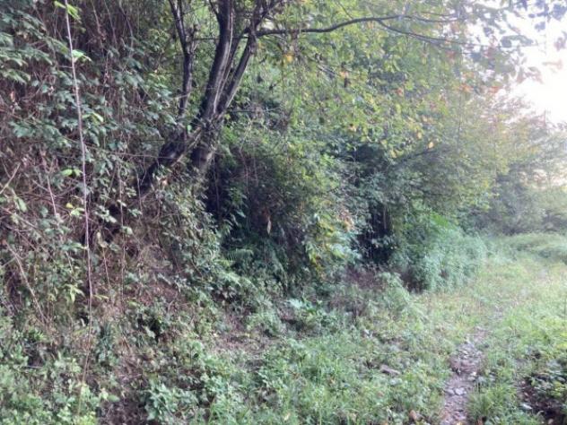Immobile in asta di 5730 m² in vendita a Calcinate - Foto 4