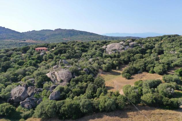 Terreno agricolo in vendita a Luogosanto 45000 mq Rif: 1356628 - Foto 4