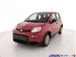 FIAT Pandina Panda 1.0 FireFly 65 CV Hybrid Icon