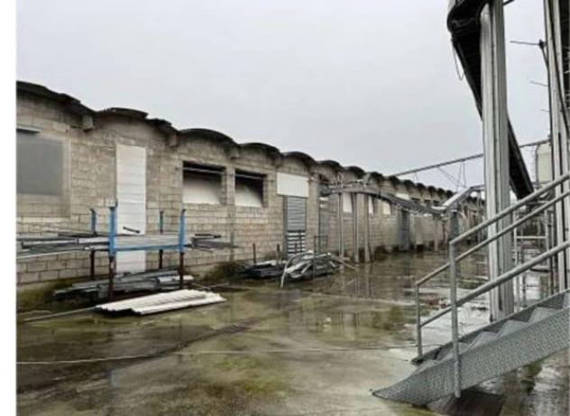 Immobile in asta di 2200 m² in vendita a Cittadella - Foto 9