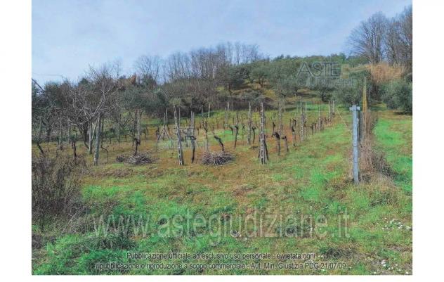 IMMOBILI-ALTRA CATEGORIA-Via Monte Taverna