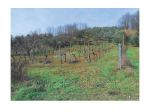 IMMOBILI-ALTRA CATEGORIA-Via Monte Taverna