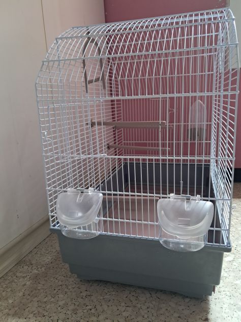 Gabbia canarini - Foto 2