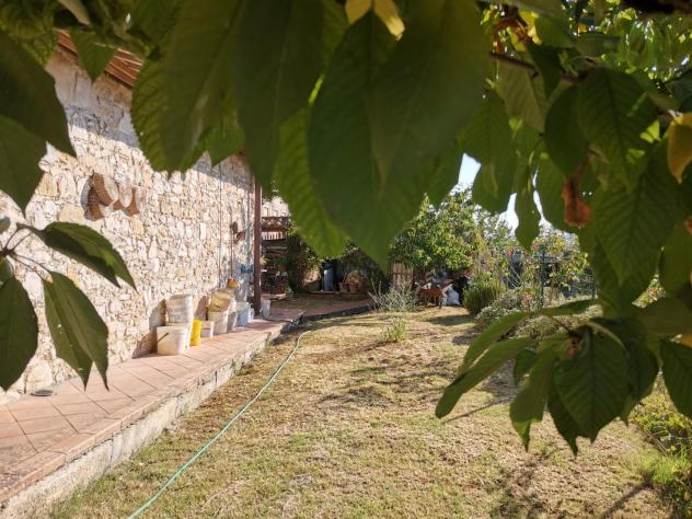 Casale in vendita a Colle di Val d'Elsa 220 mq Rif: 1277290